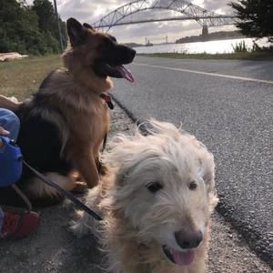 Meet your Posher, Derolyn